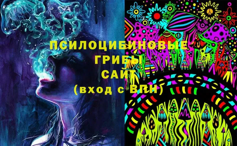 hydra   Вологда  сайты даркнета какой сайт  Галлюциногенные грибы Magic Shrooms 